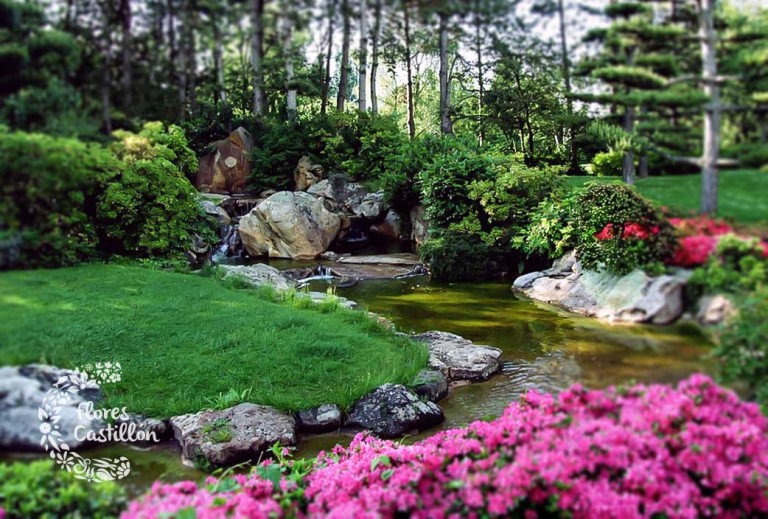 Consejos para crear un jardín japonés | Flores Castillón