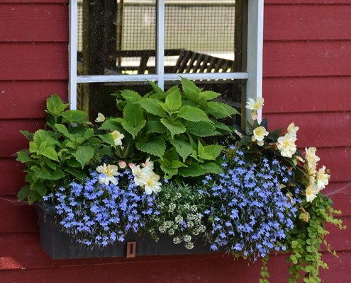 decoracion de jardines pequeños