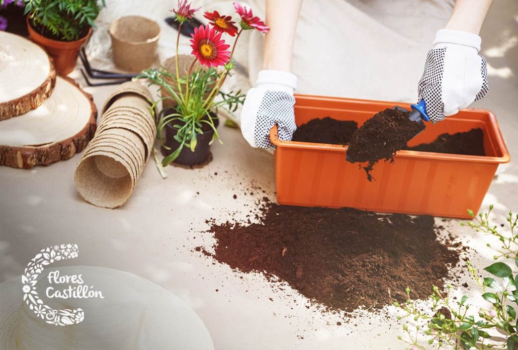 Tipos De Fertilizantes Para Plantas, Encuentra El Que Necesitas ...