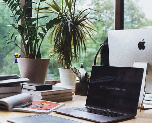 plantas espacio de trabajo