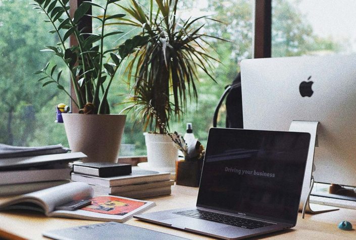 plantas espacio de trabajo